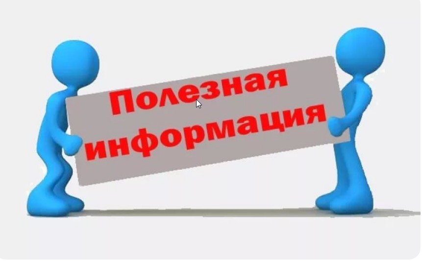 Информация о деятельности в отношении животных без владельцев.