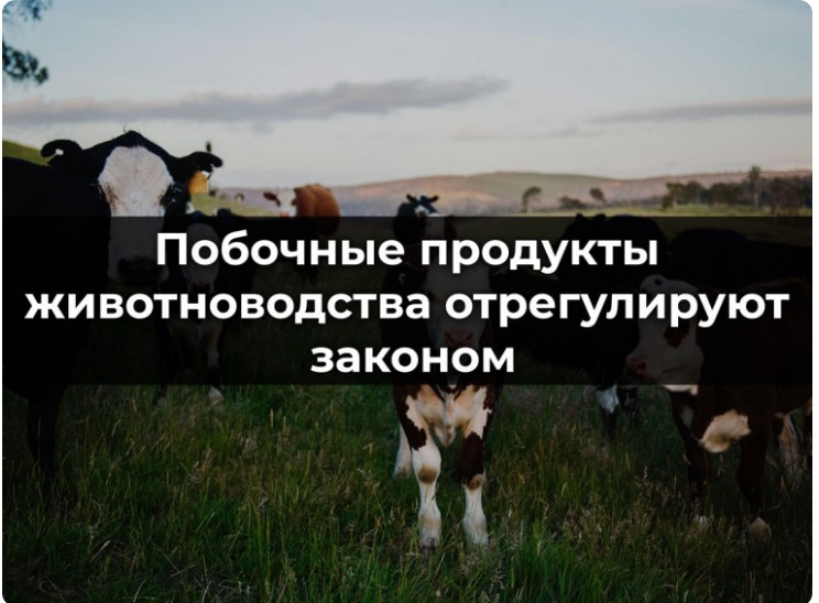 О побочных продуктах животноводства.